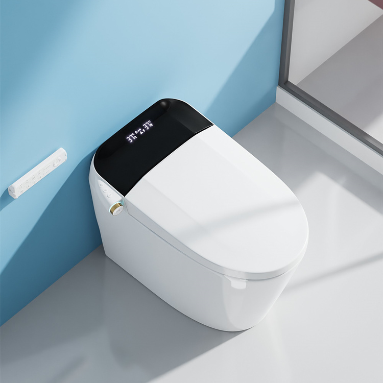 Умный электронный унитаз с авт – обзор и цена Smart Home Decor